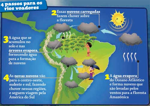 Image result for amazonia rios voadores